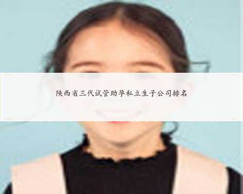 陕西省三代试管助孕私立生子公司排名