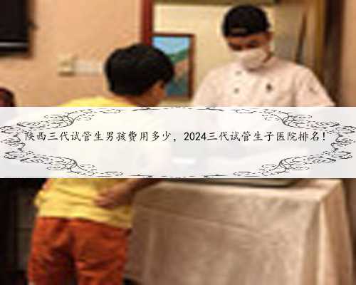 陕西三代试管生男孩费用多少，2024三代试管生子医院排名！